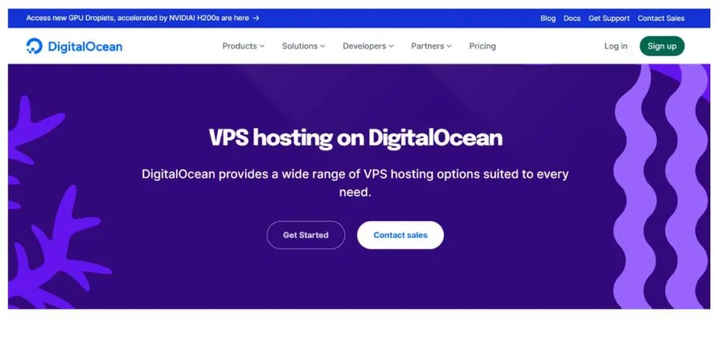 VPS Hosting Providers in India