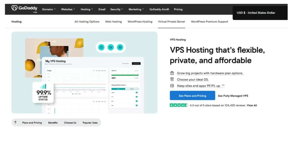 VPS Hosting Providers in India