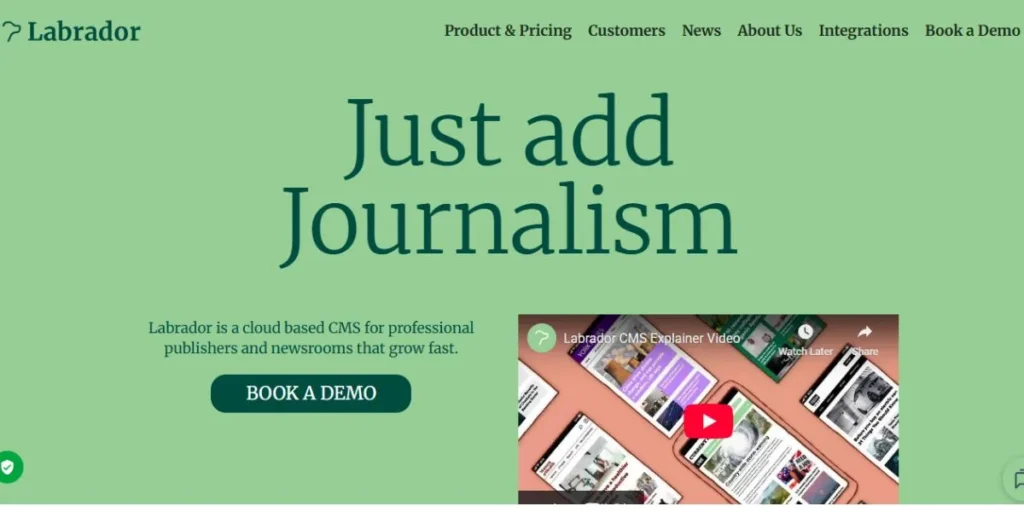 Best CMS for News Websites